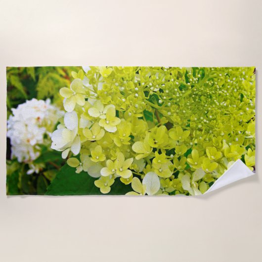 Chartreuse Groen, Limelight Hydrangea, Strandlaken (Voorkant)