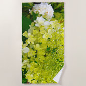 Chartreuse Groen, Limelight Hydrangea, Strandlaken (Voorkant)