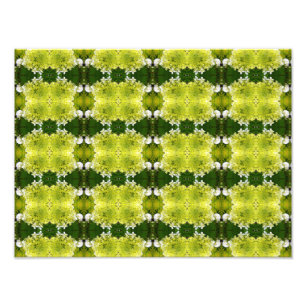 Chartreuse Groene Abstracte Hortensia Bloemen Patr Foto Afdruk