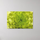 Chartreuse Groene Moeder Omwikkelde Canvas Afdruk (Voorkant)