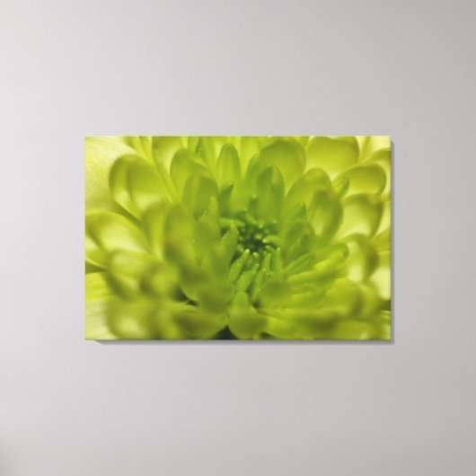 Chartreuse Groene Moeder Omwikkelde Canvas Afdruk (Voorkant)