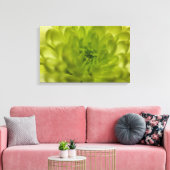 Chartreuse Groene Mum Verpakt Canvas (Insitu (Woonkamer))