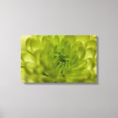 Chartreuse Groene Mum Verpakt Canvas (Voorkant)