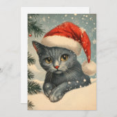 Chartreux Cat Christmas Feestdagenkaart (Voorkant / Achterkant)