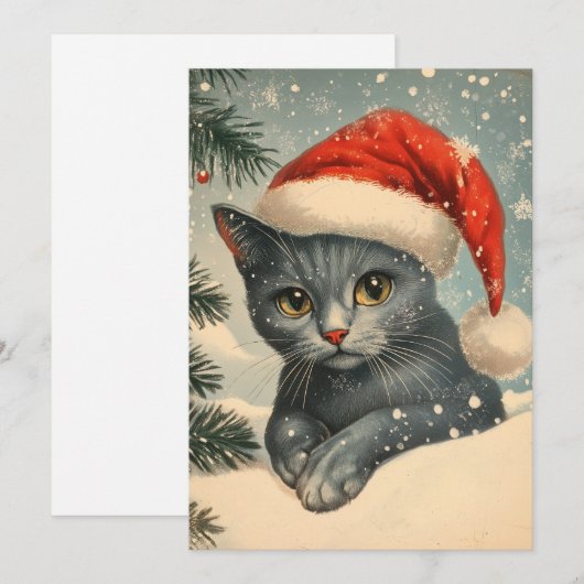 Chartreux Cat Christmas Feestdagenkaart (Voorkant / Achterkant)