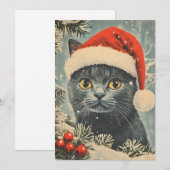 Chartreux Cat Christmas Feestdagenkaart (Voorkant / Achterkant)