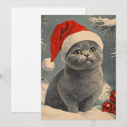 Chartreux Cat Christmas Feestdagenkaart (Voorkant / Achterkant)