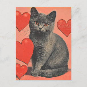 Chartreux cat  Valentijnsdag Briefkaart