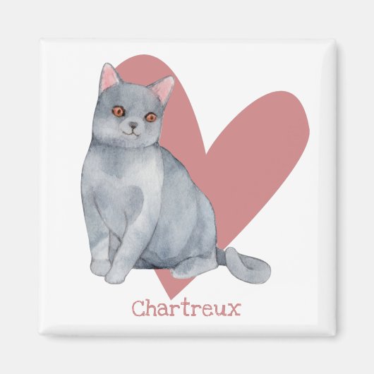 Chartreux Cat Waterverf Kat Roze hart Magneet (Voorkant)