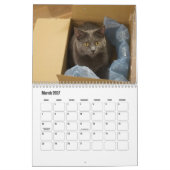 Chartreux Kalender (Mar 2027)