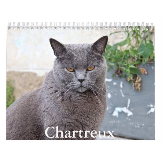 Chartreux Kalender (Hoes)