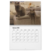 Chartreux Kalender (Feb 2026)