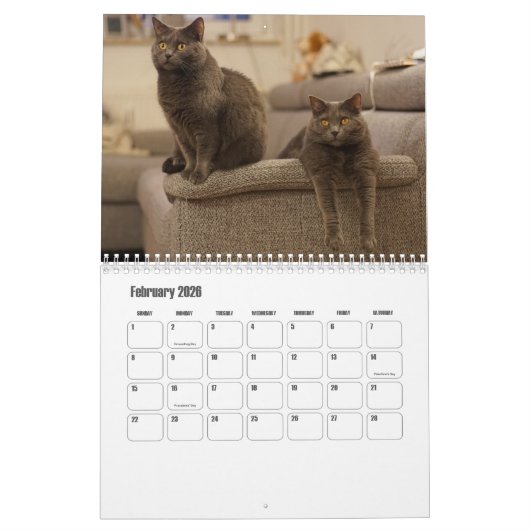 Chartreux Kalender (Feb 2026)