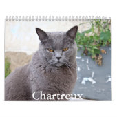 Chartreux Kalender (Hoes)