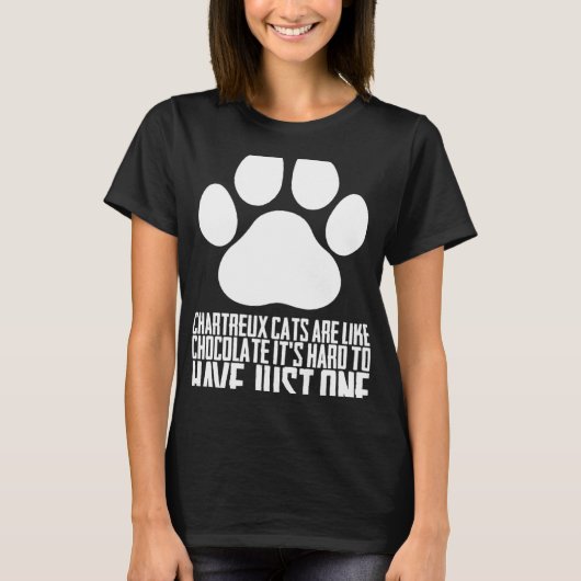 Chartreux katten Chartreux kitten T-shirt (Voorkant)