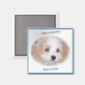 Chase Cavachon Magnet (Voorkant / Achterkant)