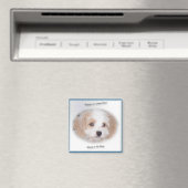 Chase Cavachon Magnet (Insitu (Vaatwasser))
