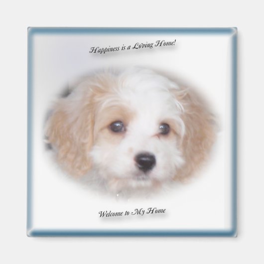 Chase Cavachon Magnet (Voorkant)