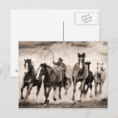 Chase I Briefkaart (Voorkant / Achterkant)