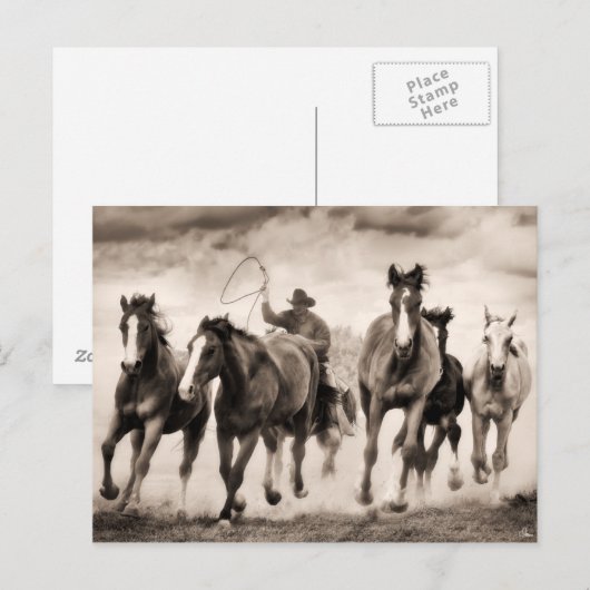 Chase I Briefkaart (Voorkant / Achterkant)