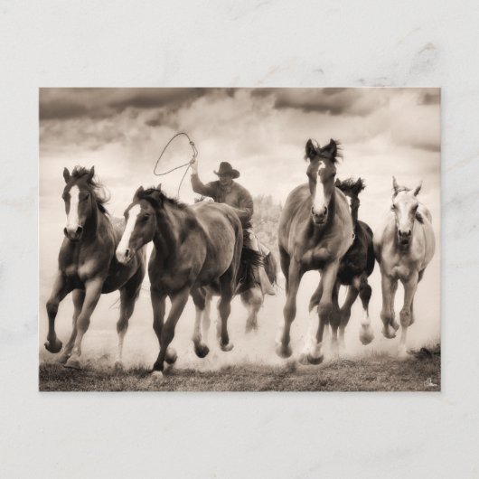 Chase I Briefkaart (Voorkant)