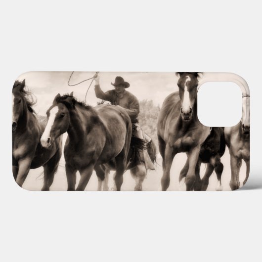 Chase I Case-Mate iPhone Case (Achterkant (horizontaal))