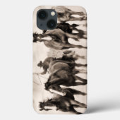 Chase I Case-Mate iPhone Case (Achterkant)