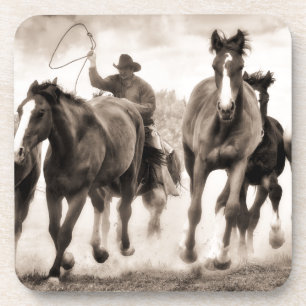 Chase I Drankjes Onderzetter