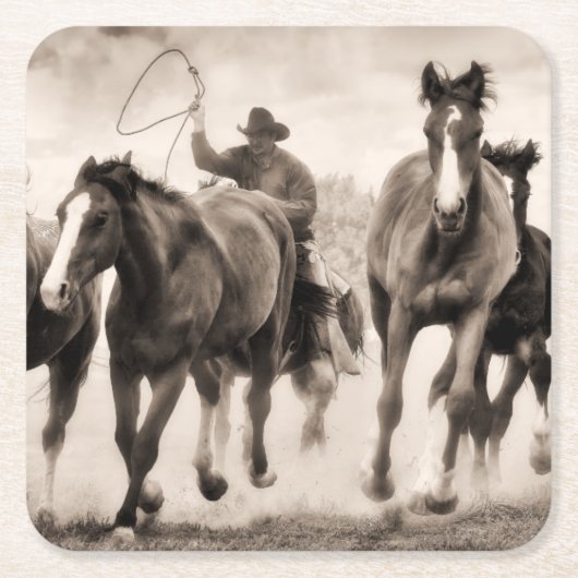 Chase I Kartonnen Onderzetters (Voorkant)