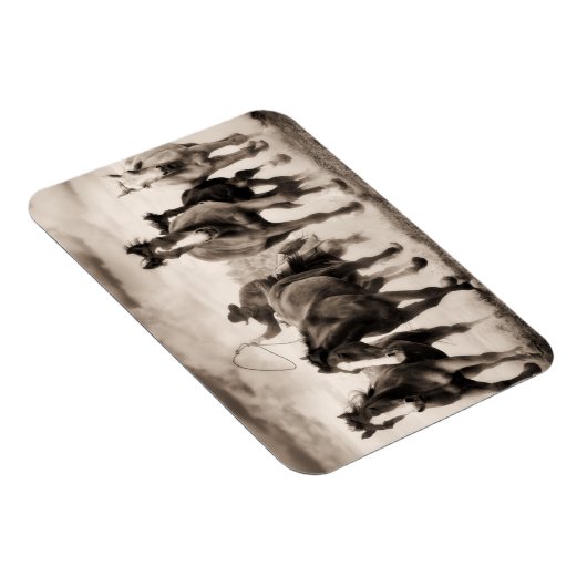 Chase I Magneet (Rechterzijde)