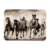 Chase I Magneet (Horizontaal)