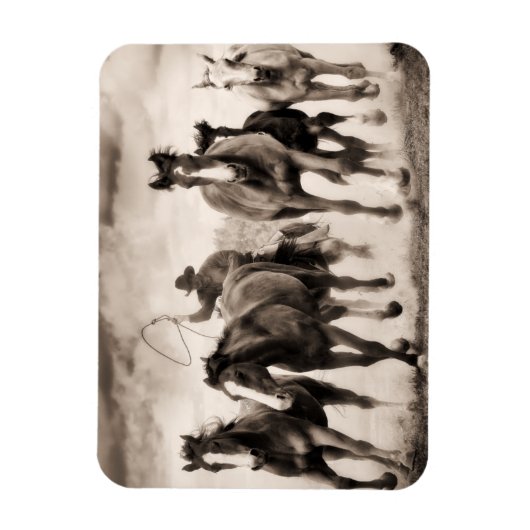 Chase I Magneet (Verticaal)