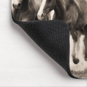 Chase I Muismat (Hoek)