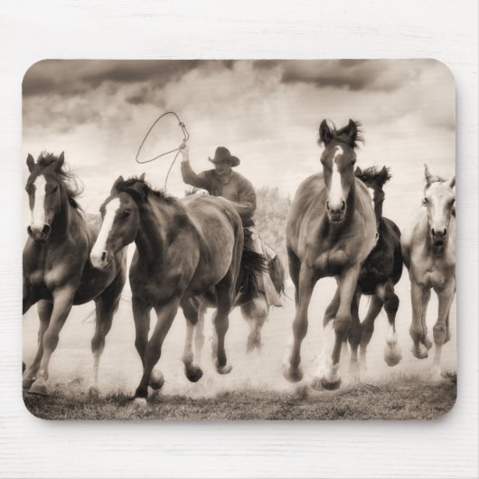 Chase I Muismat (Voorkant)