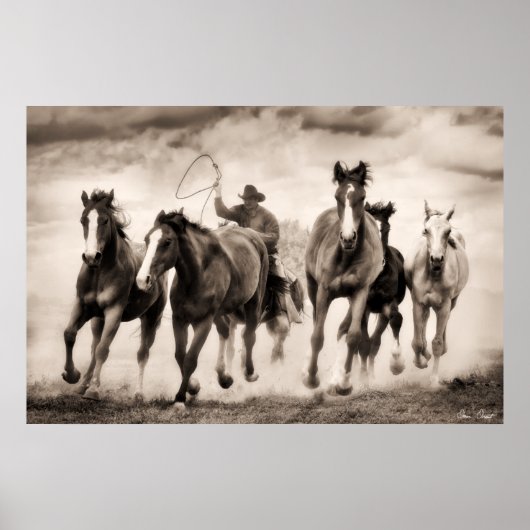 Chase I Poster (Voorkant)