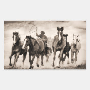 Chase I Rechthoekige Sticker