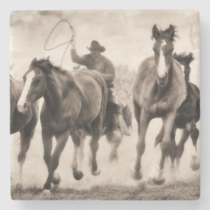 Chase I Stenen Onderzetter