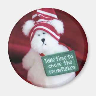 Chase the Snowflakes Magneet