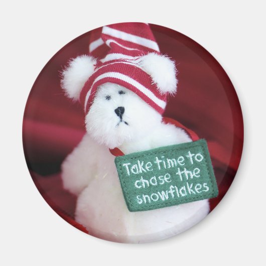 Chase the Snowflakes Magneet (Voorkant)