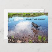 Chase Your Dreams Briefkaart (Voorkant / Achterkant)