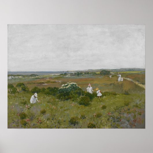 Chase - Ziekenbloemen 1890 Poster (Voorkant)