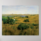 Chase - zomer op shinnecock Hills Poster (Voorkant)