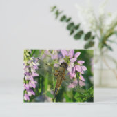 Chaserdragonfly met vier spetters briefkaart (Staand voorkant)