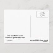 Chaserdragonfly met vier spetters briefkaart (Achterkant)