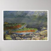 Chasing Rainbows Poster (Voorkant)