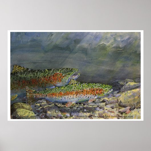 Chasing Rainbows Poster (Voorkant)