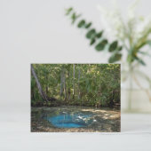 Chassahowitzka Springs, Florida. Briefkaart (Staand voorkant)