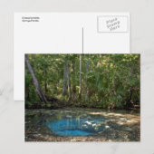 Chassahowitzka Springs, Florida. Briefkaart (Voorkant / Achterkant)