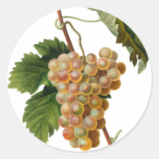 Chasselat de Fontainebleau Ronde Sticker