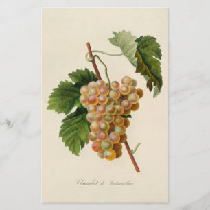 Chasselat de Fontainebleau Stationery Briefpapier